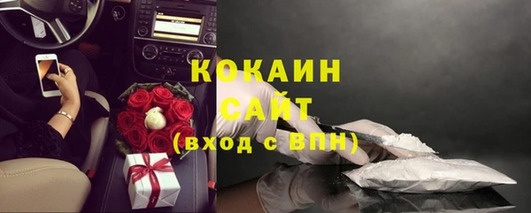 стафф Хадыженск