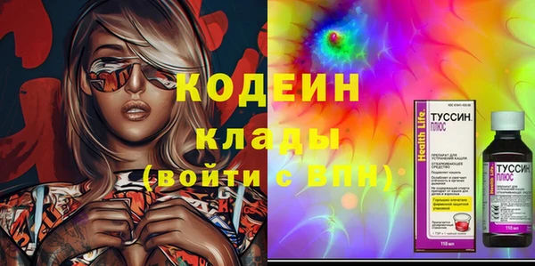гидра Надым