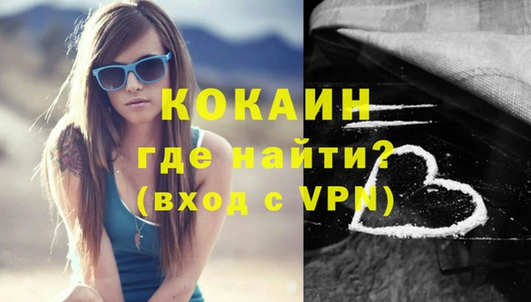 гидра Надым